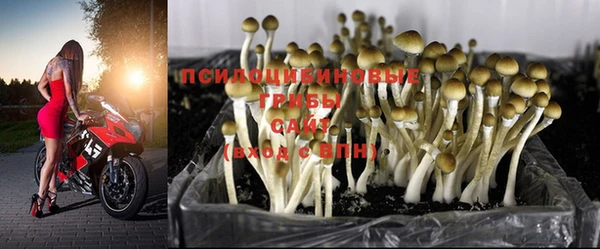 эйфоретик Белоозёрский