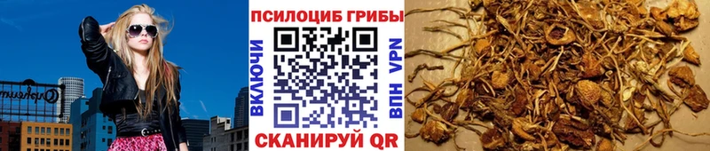 Галлюциногенные грибы Psilocybe  купить   Облучье 
